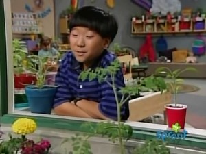 Barney & Friends - How Does Your Garden Grow_ (HD-720p)