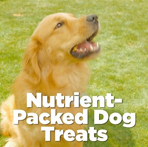 384K views · 6.7K reactions | My dogs will love these natural and...