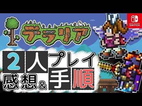 【2人プレイレビュー】テラリア（Terraria）【Nintendo Switch】