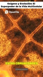 3K views · 49 reactions | Oxígeno y Evolución勞勞 #física #ciencia #parati #ingenieria #cosmos #tareas #secundaria #escuela #bachillerato #preparatoria #bachillerato #universidad #risa #humor #estudio #experimentos #universo #matematicas #fypシ #foodsafety #coins #hurricane #jesuschrist #artproject #wednesdayevent #handsonlearning #finemotorskills #workshop #communityengagement | Yo Amo La Química | Facebook