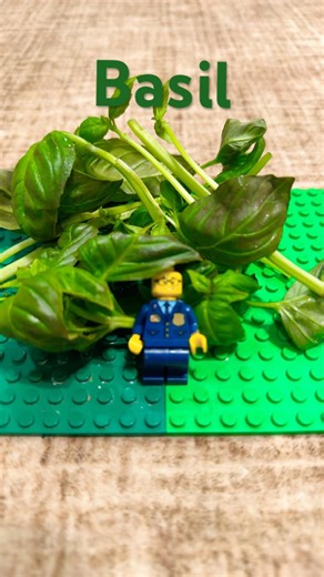 Lego guy eating food part 86 #lego ￼