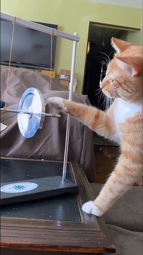 5 cool science gadgets everyone should see 😎 #shorts