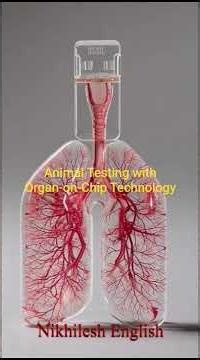 Replacing Animal Testing with Organ-on-Chip Technology | Future of Drug Testing & Biotechnology