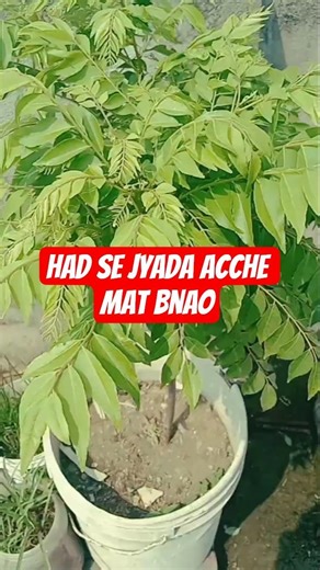 jaruri nahi🙂 #trend #viral #motivational #shorts