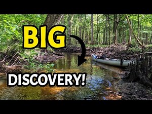 MASSIVE Discovery While Fossil Hunting & Rockhounding in a Beautiful Florida River!
