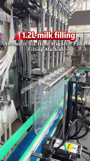 Automatic 6-Head Magnetic Pump Filling Machine for 1.2L Milk