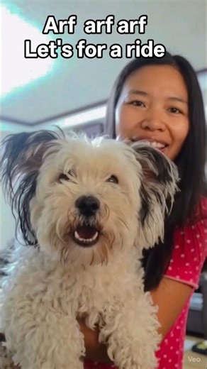 Baboo favorite going for ride | MK Survival