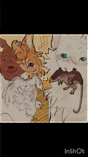 Brightheart x Cloudtail edit :) || Warrior Cats Edit || Creds in Desc! || #warriorcats #edit #fypシ