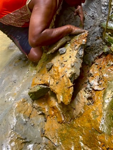 #goldenretriever #goldendoodle #viralvideos #foryoupage❤️❤️