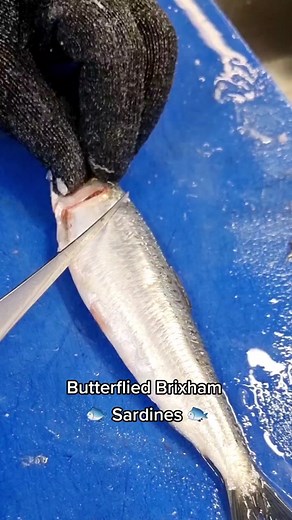 How to butterfly a Brixham Sardine 🐟 #butterfly #filleting #sardine #sardines #fish #knifeskills #fishsupplier #fishmonger #fy #fyp #fypシ #fypage #fypシ゚viral #viral