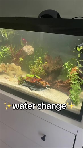 Transform Your Aquarium with Simple Tips