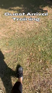 This was the first time we entered this routine into Otter’s training. However, there is more that goes with this type of training. For example, Otter needed to know how to hold place around distractions before we considered adding this into his training. But this was the start. We will continue to practice every time I come over for a lesson-so that by the time the owner has a real guest, Otter will be familiar with this routine. We worked through this for about 15 minutes. If you would like to