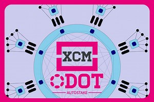 XCM DOT Autostake
