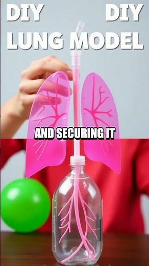 Homemade Lung Model Experiment