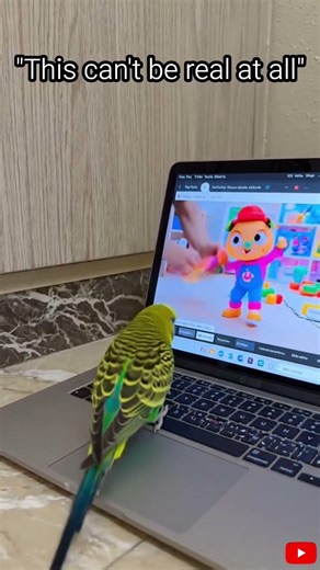 POV: You’re a bird is tech savy 🐦💊" #birds #techno