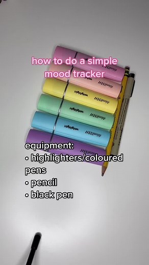 amber + sofia | 1.1 k! on TikTok