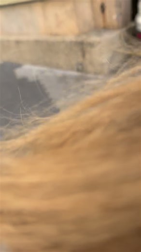 Xavier | 🧖🏾‍♂️🧖🧖‍♀️Detention at @qcspa cleansed our skin, not our sins. 👻 🍹 #spaday #nyc #qcspa | Instagram