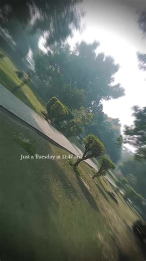 psychologist 123 (@psychologis12)’s videos with original sound - ᴄʟɪᴘꜱ ʙʏ ʙɪʟᴀʟ