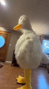 26M views · 421K reactions | Fart spray prank藍 | TooDirty Dom | Facebook