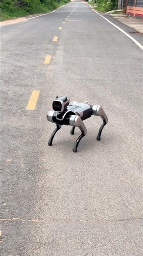 Humanoid Robot Parts or Complete #humanoidrobot