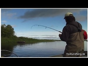 Adventure Alaska: For Salmon and Halibut
