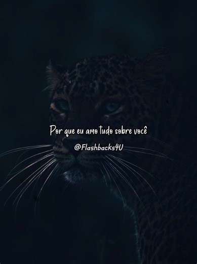 Flashbacks4U no TikTok