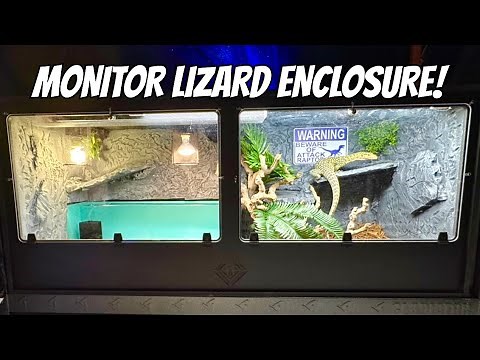 EPIC Monitor Lizard Enclosure Build — Start To Finish!(BlackBoxCages)