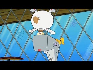 Sandy Cheeks Inflations
