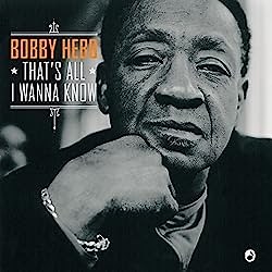 歌詞和訳｜Bobby Hebb - Sunny