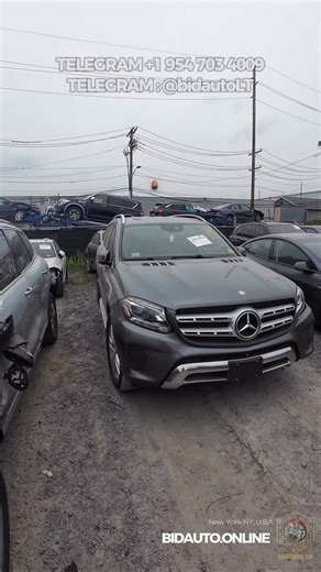 519 reactions · 7 comments | Susisiekite : https://t.me/bidautoLT...