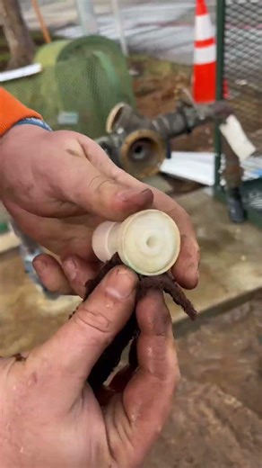 Febco Repair #backflowprevention #backflowrepair #backflowtesting