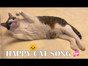 HAPPY CAT SONG - Song For Kids