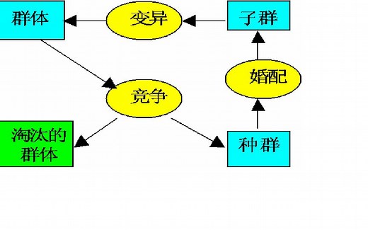 遗传算法GA 测试例子讲解1_1