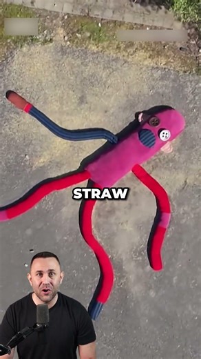 The World’s Largest Sock Monkey Sculpture 🤯