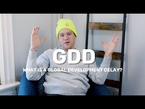 What is a Global Development Delay?
