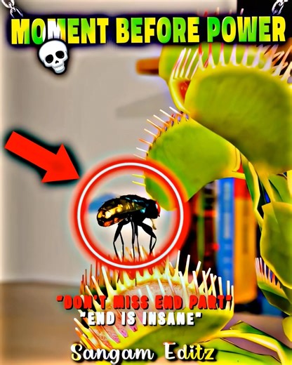 Moments Jesus PROTECT 🔥✝️ #jesusprotects #faithshield #viralvideo #holyguard #edittrend #faithzone