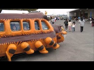 cat bus