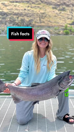 Fun fact. Fish love Toby Keith on the Fourth of July #fyp #salmonfishing #kingsalmon #girlswhofish Lucky Fishing Shirt from @High Country Clothing Co. CODE: SHELBY10