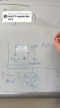 Wick how plan b works #menstrualcycletiktok #planb #women #periods #ovulation