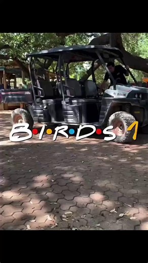 Meet the Birds 1 team! This team cares for many different bird species, and also hand-rears the baby birds in The Nest. This team is incredible at what they do. Thank you for your hard work and dedication! | San Antonio Zoo