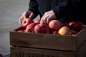Farmers market vouchers now available for Pennsylvania seniors
