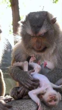 Sweet Family Moments of Mama Stephanie and Baby STEELY 💕
