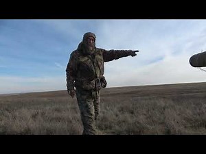 Coyote Jaw Shot