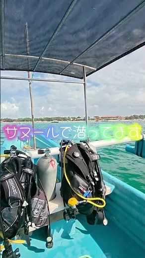 サヌールで潜ってます #バリ島ダイビング #ダイビング初心者 #バリ島くらげ村 #スローダイブ #ブランクダイバー