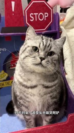 Unboxing: Adorable, Flirty Microphone - A Must-See