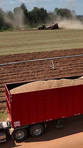 3.8K views · 91 reactions | You can’t beat the Harrell Ag Products drying trailer and Cyclone 42 dryer combo! Safer, dries faster, last longer. Contact us at sales@harrellag.com, 229-246-0350 or visit https://harrellag.com. Rugged. Reliable. Equipment. #dryingvans #peanutdryers #peanutseason #peanutbuyingpoint #dryingvanparts #peanutdryerparts #harrellagproducts | Harrell Ag Products | Facebook