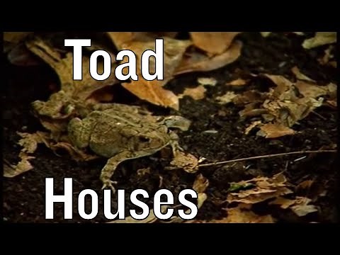 Building Toad Houses