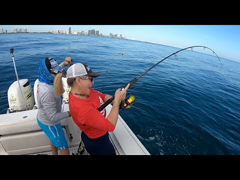Miami Beach Offshore Fishing 💙⚓️🌎