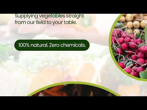 BERN , SWISS CAPITAL FARMER'S MARKET AT BUNDESPLATZ AND PARLIAMENT VIEW.#Bern #BernSwitzerland