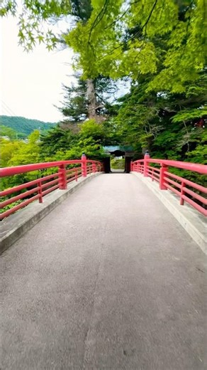 Nakano Momijiyama 中野もみじ山 #travel #japan #nature